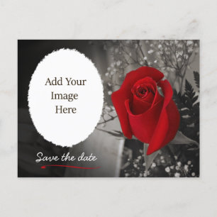 Postal De Anuncios Elegante Rosa Roja Ahorra la Fecha Foto