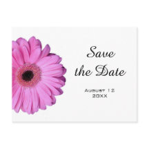 Elegante Rosa Romántica Gerbera Daisy