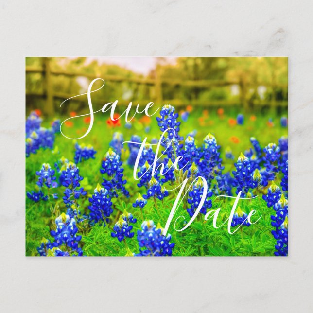 Postal De Anuncios Elegantes Bluebonnets Primavera Guarda La Fecha (Anverso)