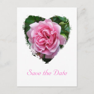 Postal De Anuncios Elementos de coordinación Rosa de escalada