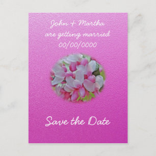 Postal De Anuncios Elementos de florecimiento de árbol redundante