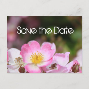 Postal De Anuncios encantadora flor de rosa silvestre rosa boda save