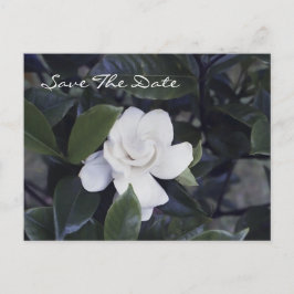 Postal De Anuncios Enchanting Gardenia Save The Date Postcard