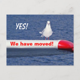 Postal De Anuncios Es Gracioso Que Hayamos Trasladado La Postcarta De