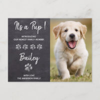 Es un perro de cachorro nuevo Mascota