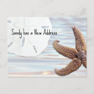 Postal De Anuncios Estrella de Mar Dólar de Arena Madera Playa Nueva
