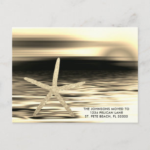 Postal De Anuncios Estrella de mar puesta de sol dorada negra Traslad