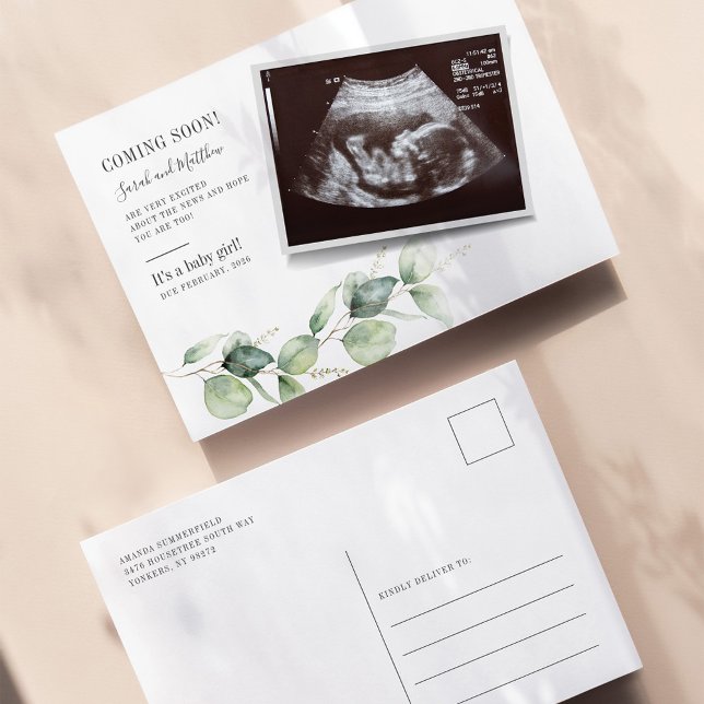 Postal De Anuncios Eucalipto Embarazo Suculento Revelación del Bebé (Baby Reveal Sonogram Eucalyptus Pregnancy Announcement)
