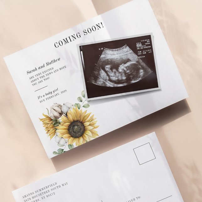 Postal De Anuncios Eucalipto Floral de girasol Sonograma Embarazo (Sunflower Sonogram Pregnancy Announcement Postcard)