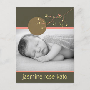 Postal De Anuncios Familia de Aves de Anidación Rosa Moderna Nacimien
