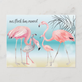 Postal De Anuncios Familia de flamencos rosados en Bokeh Beach Nueva