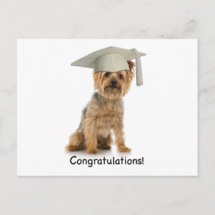 Postal De Anuncios Felicitaciones a Yorkie de Graduación