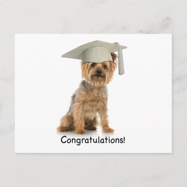 Postal De Anuncios Felicitaciones a Yorkie de Graduación (Anverso)