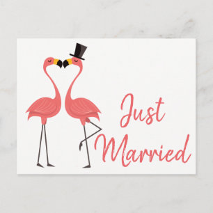 Postal De Anuncios Flamingo rosa: Boda tropical casado