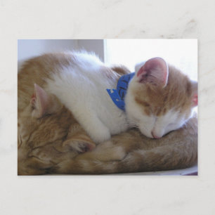 Postal De Anuncios Flemming y Finley