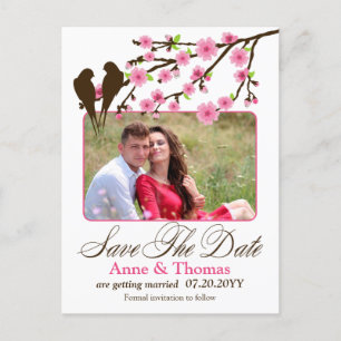 Postal De Anuncios Flor de cerezo y aves amorosas Foto Save the Date