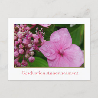 Postal De Anuncios Flor de hortensia rosa graduación de niña