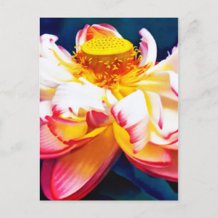 Postal De Anuncios Flor de Loto Rosa Zen en Flor Acuarela