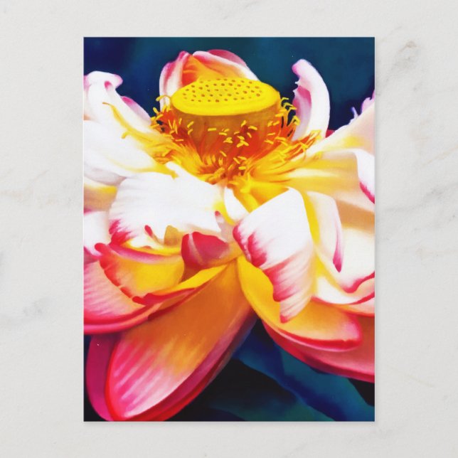 Postal De Anuncios Flor de Loto Rosa Zen en Flor Acuarela (Anverso)