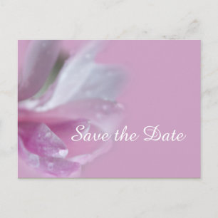 Postal De Anuncios flor de magnolia rosa bonito salva al boda de cita