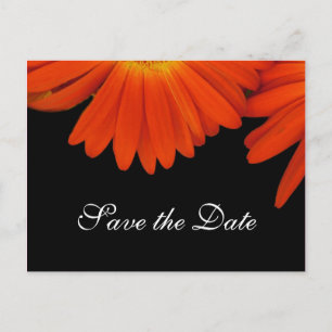 Postal De Anuncios Flor de margarita naranja elegante guardar la fech