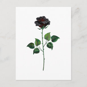 Postal De Anuncios Flor de rosa negra