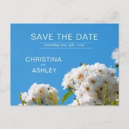 Postal De Anuncios Flor rosa blanca