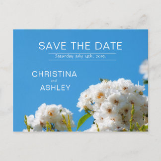 Postal De Anuncios Flor rosa blanca