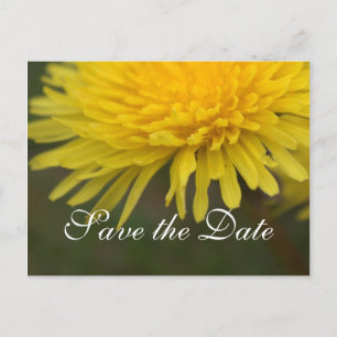 Postal De Anuncios flor silvestre amarillo bonito dandelion salvar la