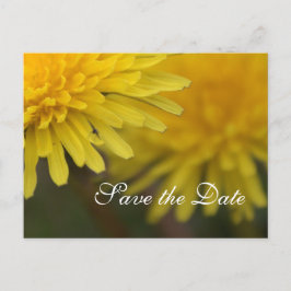 Postal De Anuncios flor silvestre amarillo bonito dandelion salvar la