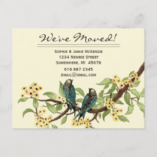 Postal De Anuncios Flores Amarillas Aves Vintage Turquesa ¡Nos hemos 