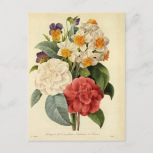 Postal De Anuncios Flores antiguas, camelias y narcisos, Redoute