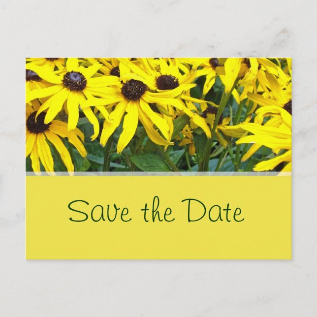 Postal De Anuncios flores de margarita amarillo brillante de verano s (Anverso)