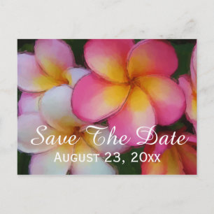 Postal De Anuncios Flores de Plumeria Frangipani salvan al Boda de ci
