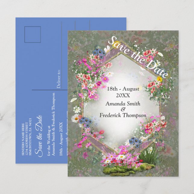Postal De Anuncios Flores Silvestres de Cosmos (Anverso / Reverso)