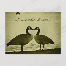 Postal De Anuncios Foto canadiense de los gansos