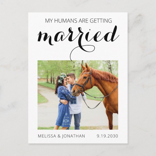 Postal De Anuncios Foto de Caballo Moderno Boda de Mascota Guardar la (Anverso)