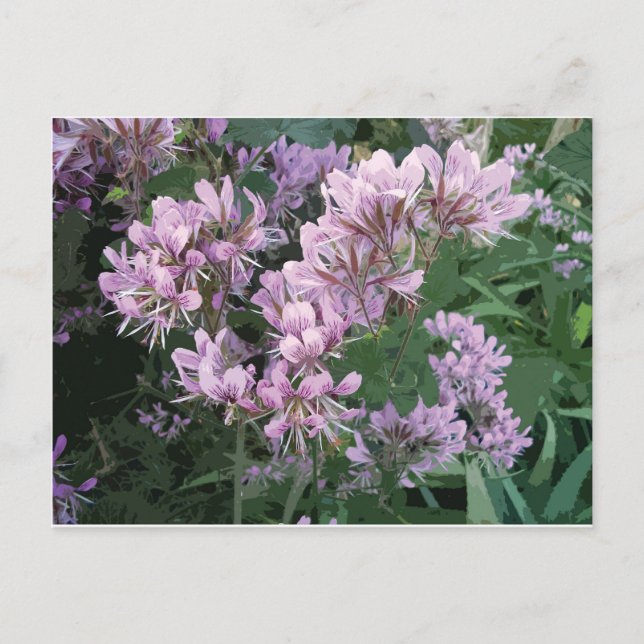 Postal De Anuncios Foto de flor rosa (Anverso)