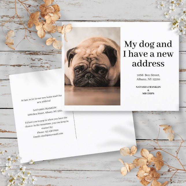 Postal De Anuncios Foto de mascota de perro Nueva dirección Me he mud (Dog Pet Photo New Address I've Moved Modern Announcement Postcard)