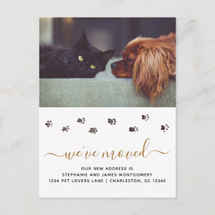 Postal De Anuncios Foto de mascota linda personalizada para mudanza