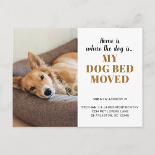 Postal De Anuncios Foto de Perro Divertida Mascota Personalizada Muda