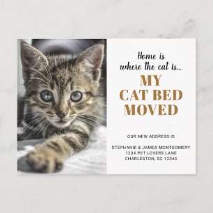 Postal De Anuncios Foto Divertida de Gato Personalizada Mascota Mudan