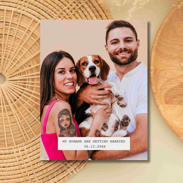 Postal De Anuncios Foto divertida de perro para boda Save the Date (Funny Dog Photo Wedding Save the Date )