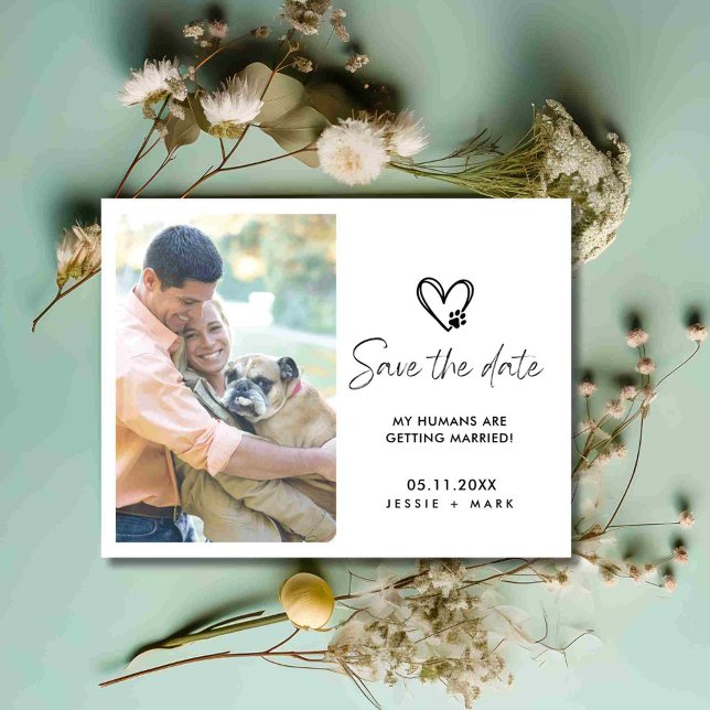 Postal De Anuncios Foto divertida de perro para salvar la fecha de la (Funny Dog Photo Wedding Save the Date)