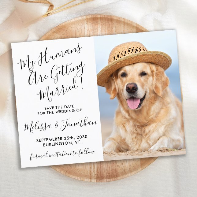 Postal De Anuncios Foto moderna Personaliza La Boda De Perro Salven L (Subido por el creador)
