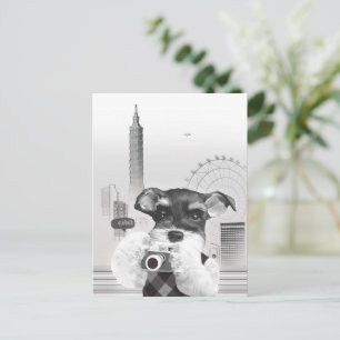 Postal De Anuncios Fotógrafo Urbano: Schnauzer en la ciudad de Taipei
