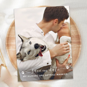 Postal De Anuncios Fotos Mascotas personalizadas Boda de perro Salven