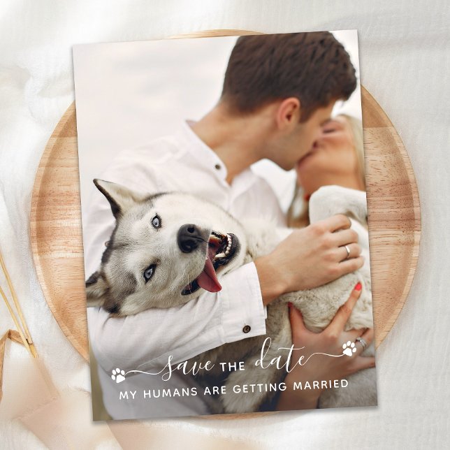 Postal De Anuncios Fotos Mascotas personalizadas Boda de perro Salven (Subido por el creador)