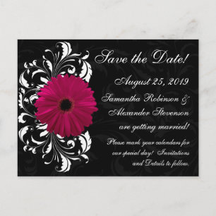 Postal De Anuncios Fuchsia Scroll Gerbera Daisy Black Save the Date