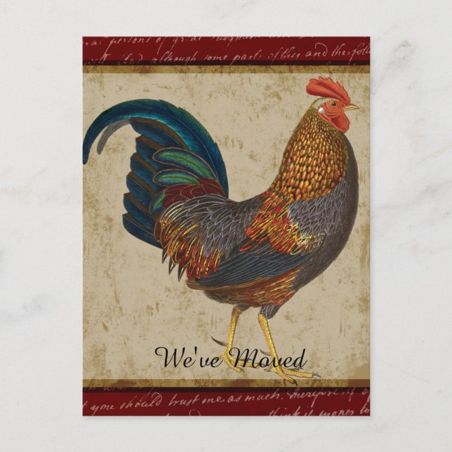 Postal De Anuncios Gallo Rojo Nueva Casa Mudada (Anverso)